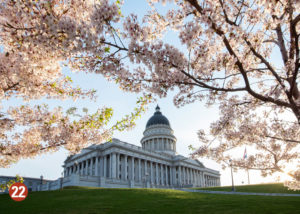 Utah state capital with cherry blossoms