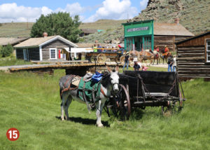 Horse and wagon in old west down