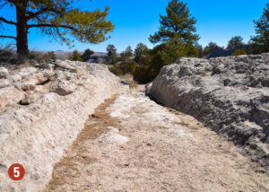 Pioneer wagon ruts